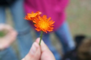 img_9785